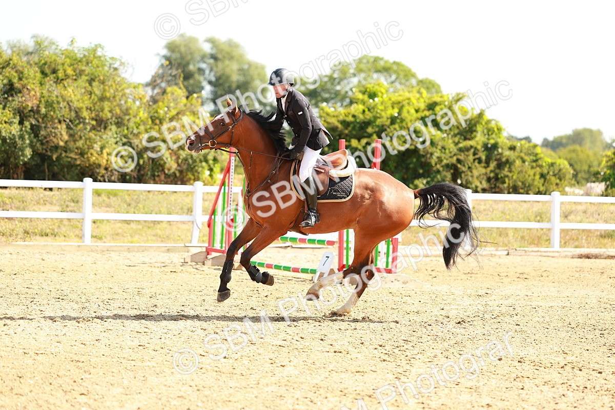 SBM_002613 - Class 9 - Senior British Novice - 90cm