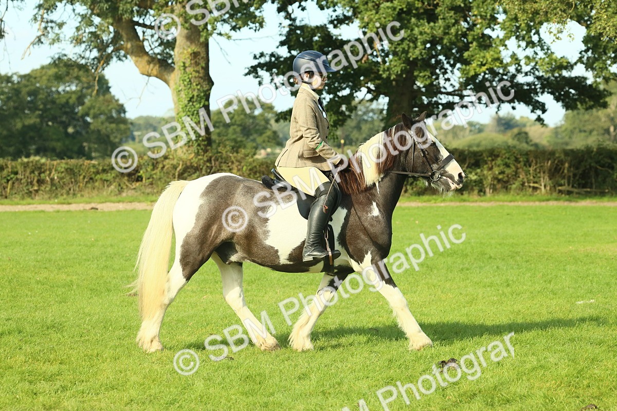 SBM_59822 - S38 - Starters Ridden Showing