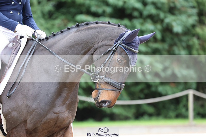 241024-120232-01966 - 056-Claire.Deuten-KILBUNNY.BLUE.BIRD