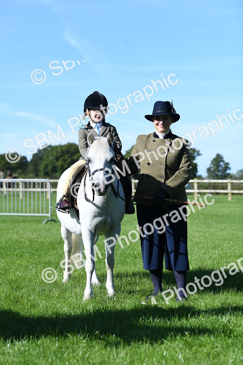 SBM_36896 - S18 - Novice & Newcomers Lead Rein Pony