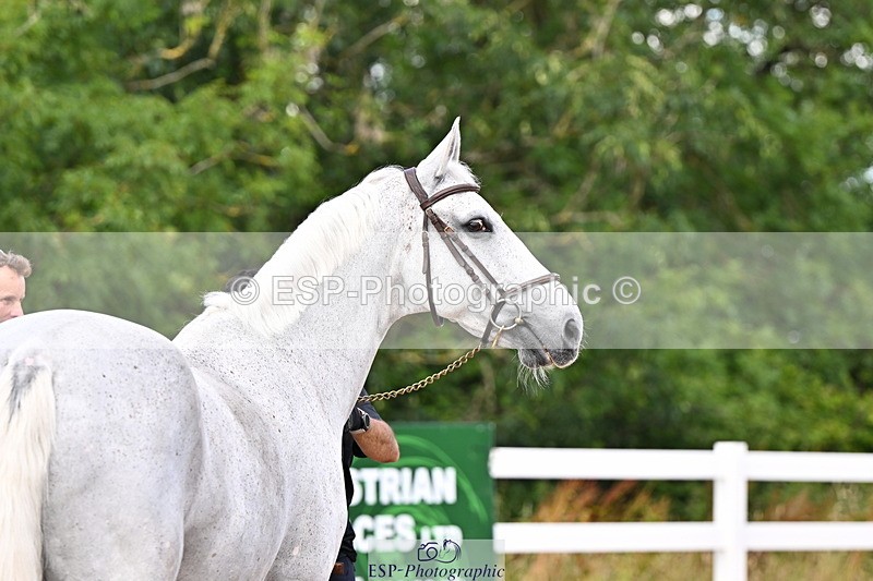 240718A-105253-01295 - Trot Up 12pm to 1pm