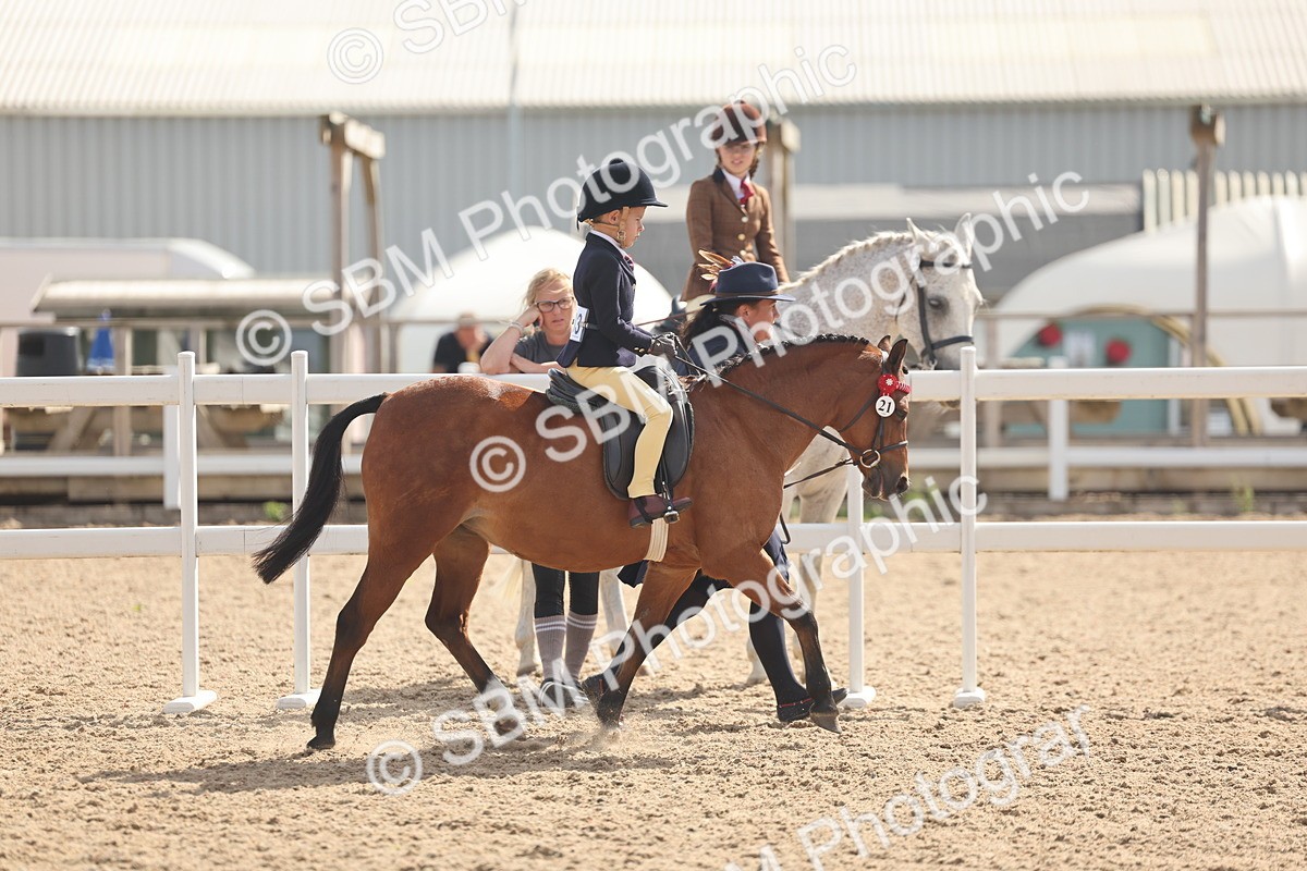 SBM_23145 - Class 806 - Young Rider 10ry and Under