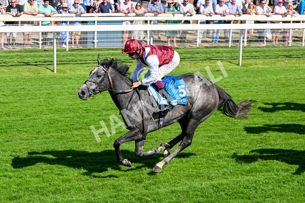 110725-Race 5-Mahras Love-0432 - Race 5 4.32pm Laura Barry Memorial Handicap