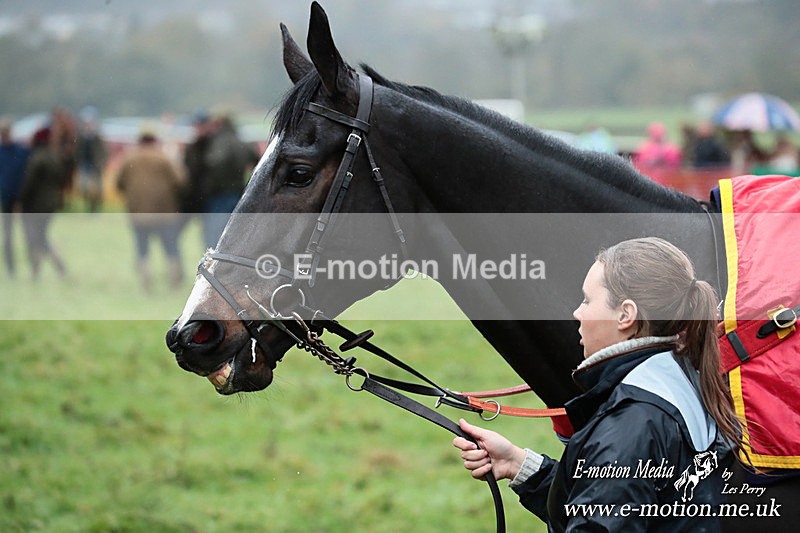 PtP 091125 0009 - Point-to-Point Wales Area Club Lower Machen, Gwent 09/11/25