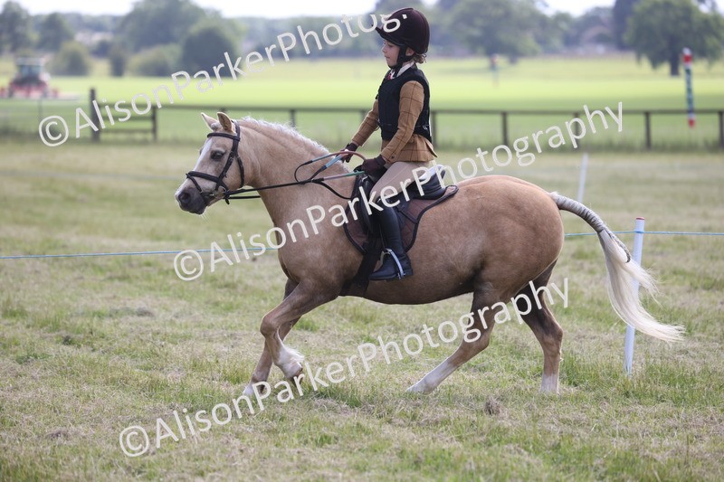 20260614-0461 - Class 20 - Beginners Working Hunter Pony