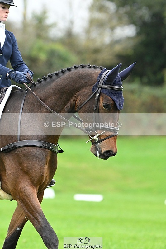 241024-124445-03493 - 518-Carla.Williamson-POWERS