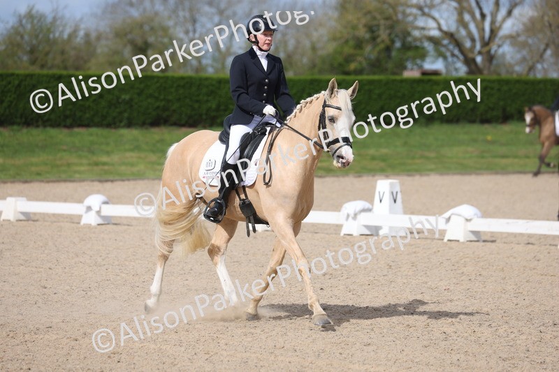 20260405-0197 - Class 3 - Novice 5