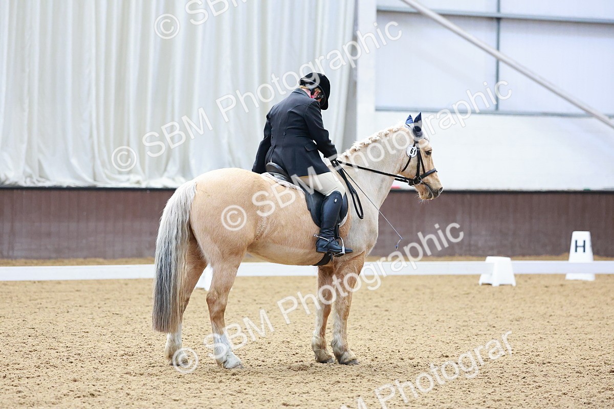 0B8A3745 - Class 3-6-9 - Prel Nov Ele - FSM