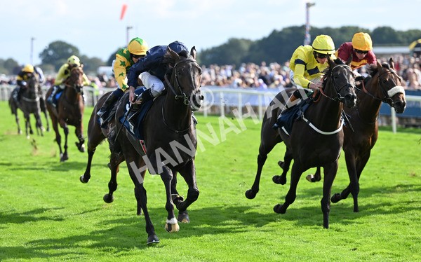 220825-245 Frescobaldi - Race 6 4.45pm British Stallion Studs EBF Convivial Maiden Stakes