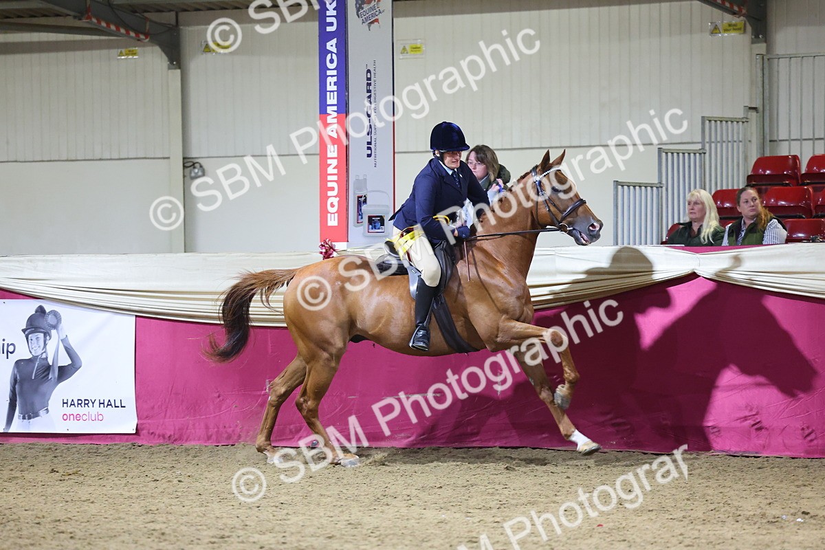 0B8A4297 - Class 108Ridden Retired Racehorse- Final Judging