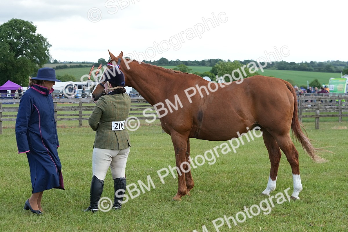 SBM_12956 - Class 99 - RIHS SEIB Working Show Horse