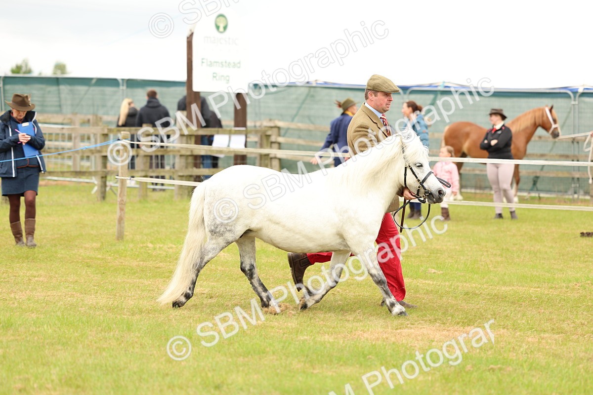 SBM_03571 - Class 58-67 - M&M Non Welsh Pony In hand