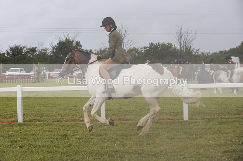 1X9A3029 - Class 26: Ridden Plaited Coloured Pony