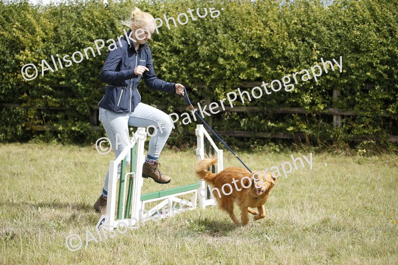 20250831-3896 - Dog Show