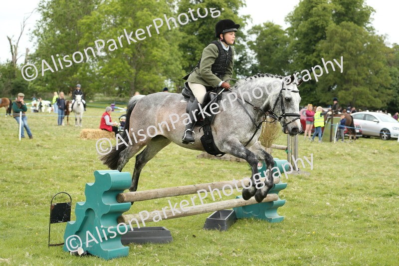 20250517-1452 - Class 22 - Open Working Hunter