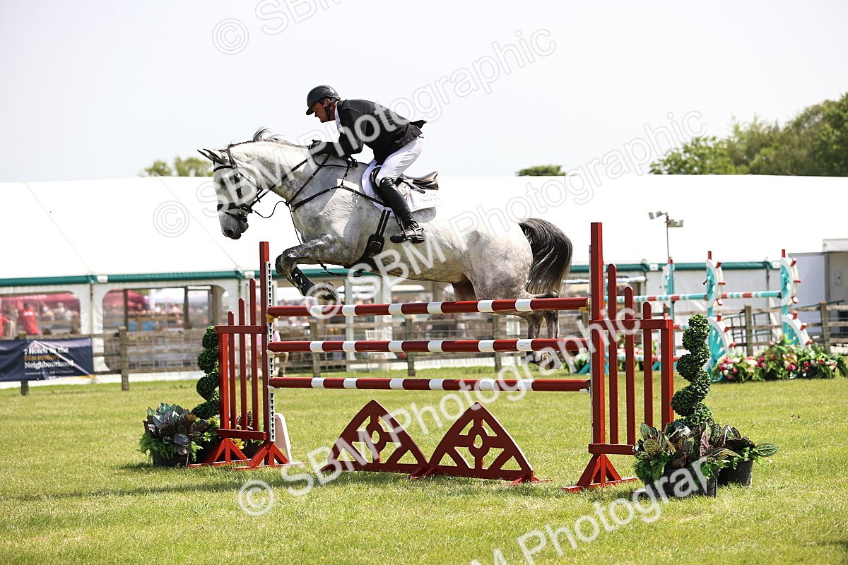 SBM_04042 - Class 201 - British Horse Feedds Speedi Beet HOYS Grade C