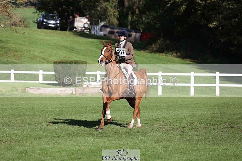 231022-111524-25052 - 607-RICO.III-Alison.Stewart-TrotUp+SJ