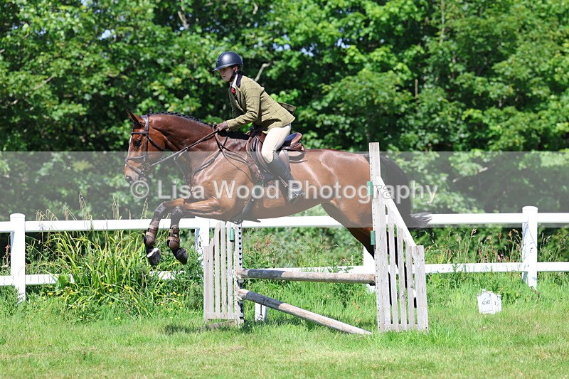3E7A7080 - Class 30: Novice Working Hunter
