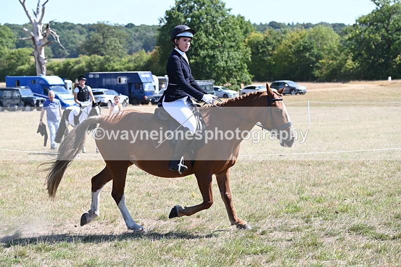 WJ6_8350 - Class 37a Best Loan Pony Ridden