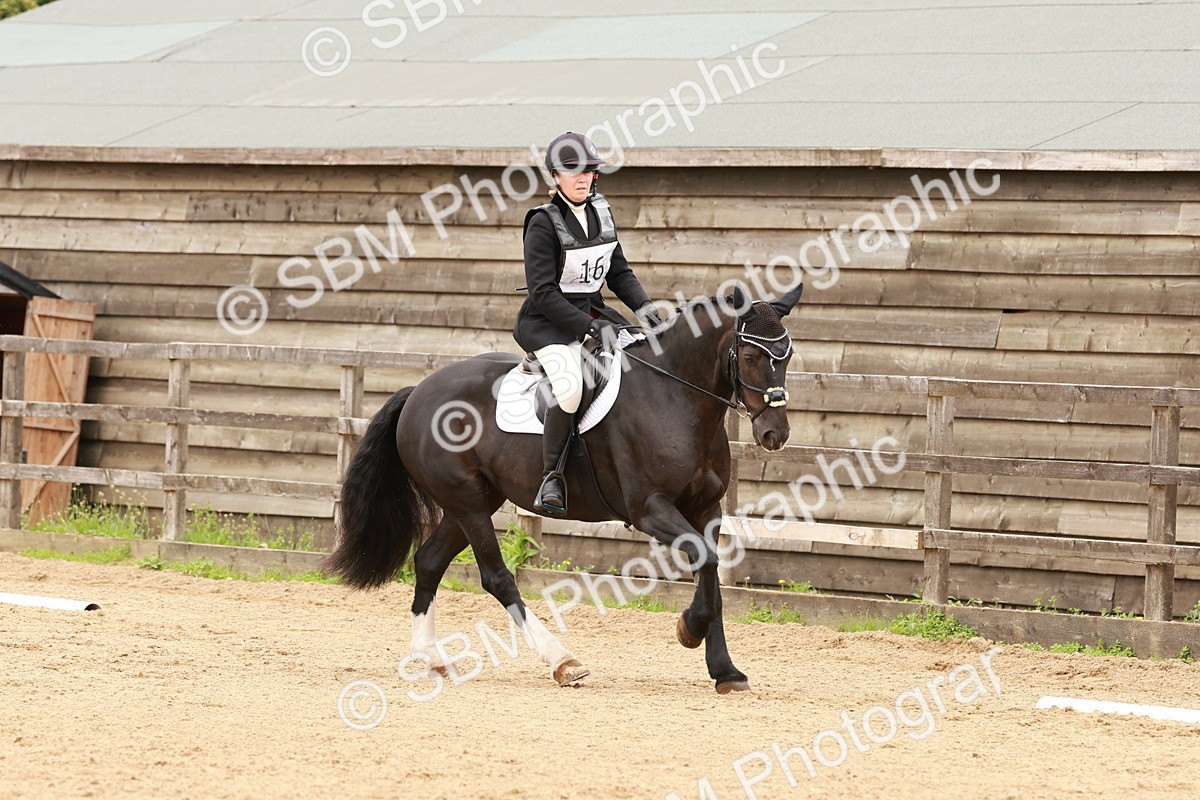 SBM_001578 - Novice 1