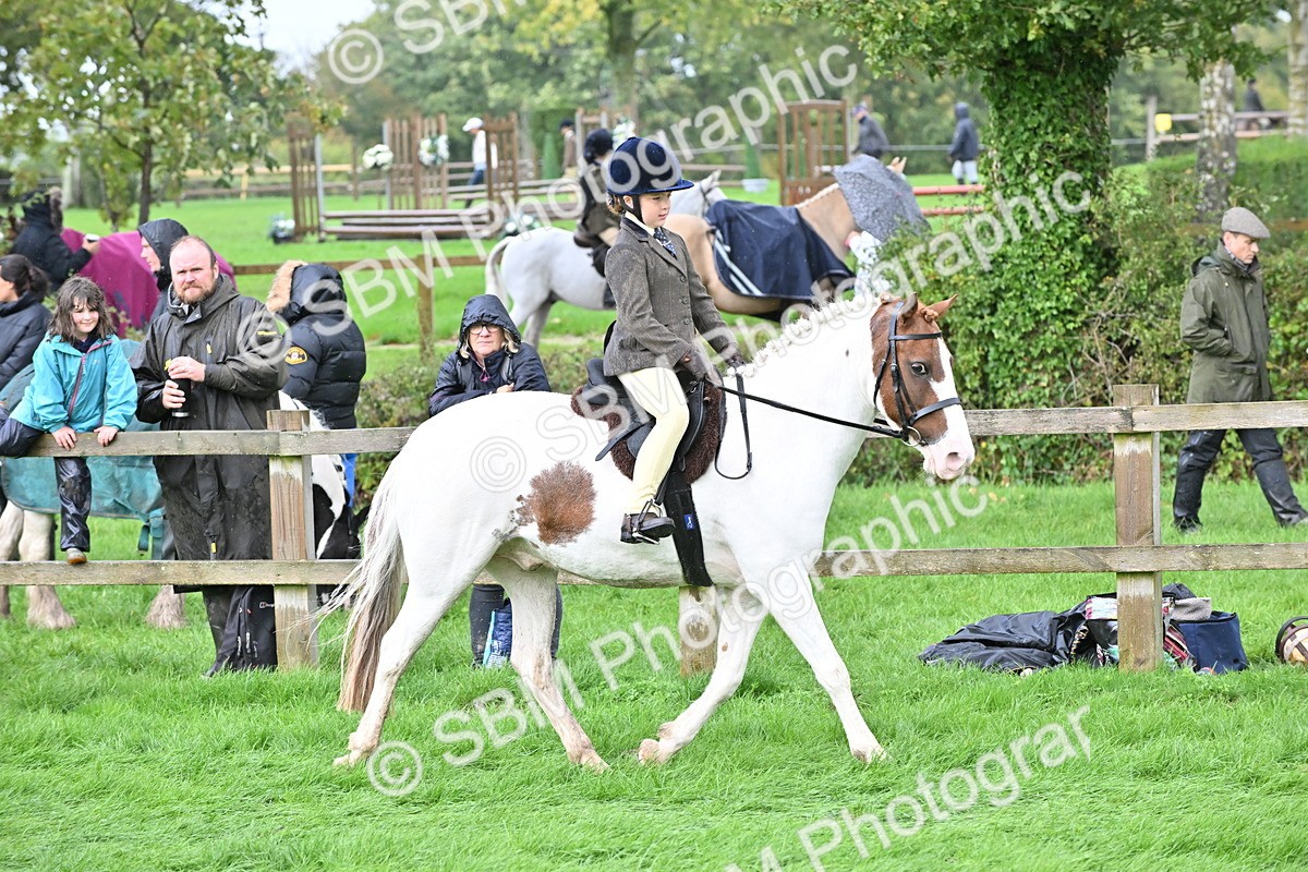 SBM_43043 - S12 - Family Horse & Pony