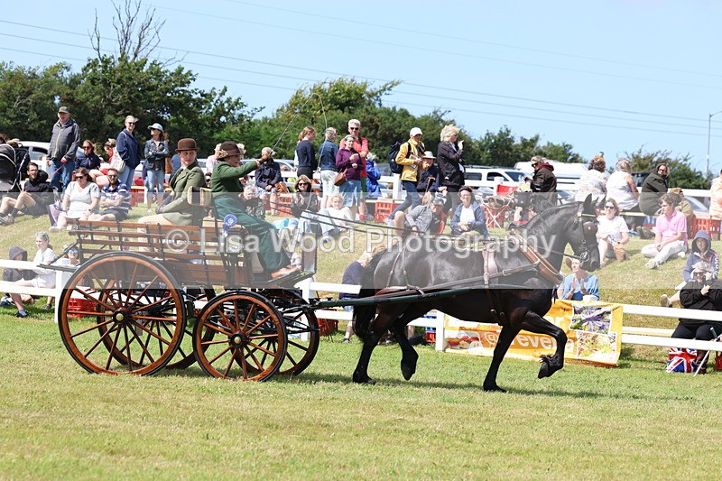 3E7A2836 - Class 12: Open Driving