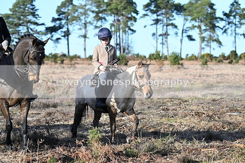 WJ7_7396 - Line 3 (no line 4 or 5)