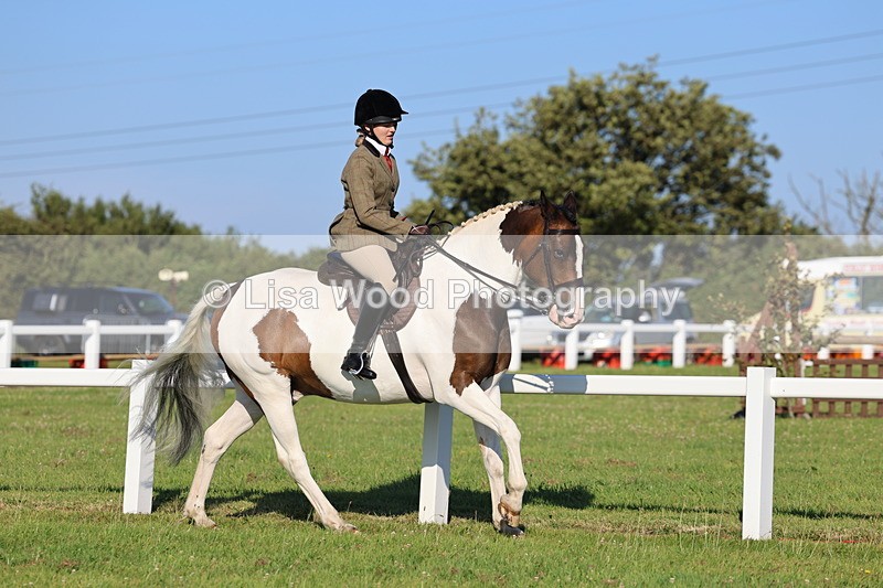IMG_1208 - Class 27: Ridden Plaited Coloured Horse
