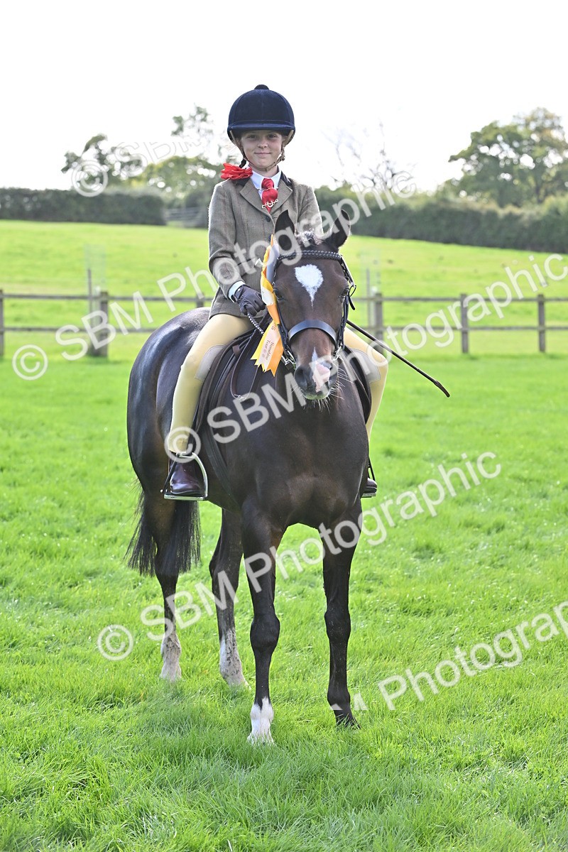 SBM_44604 - S13 - Pony Club Pony