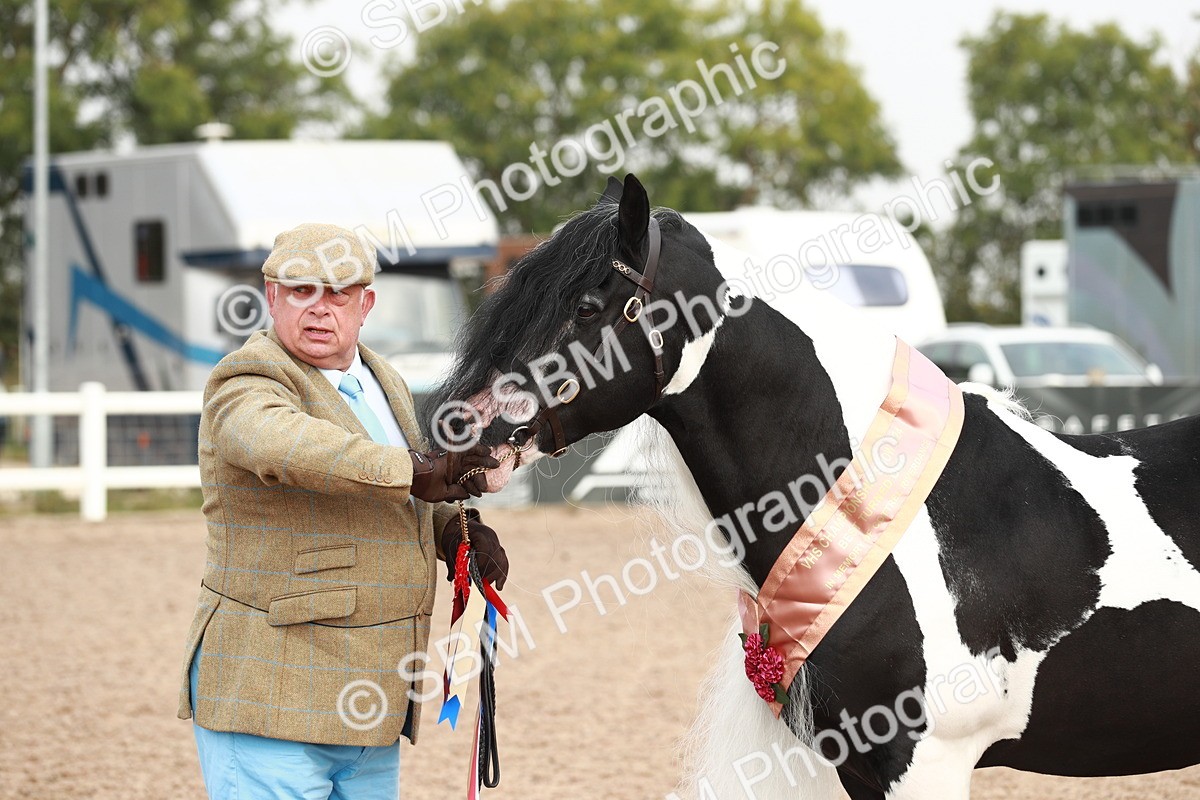 SBM_09585 - Class 201 Best Turned Out IH