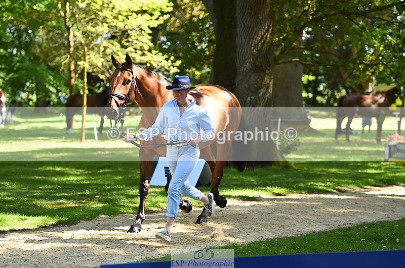 230524-152532-00256 - 327-ROMANTIC-Rosie_Fry-WEDTrotUp+DR