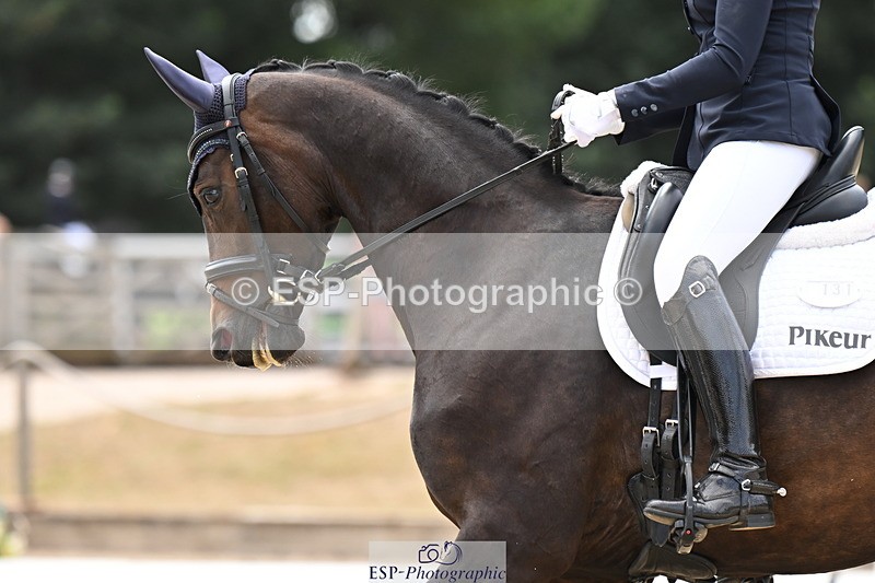 250808A-143042-01081 - 131-Beth.BainbridgeNewton.Delightful