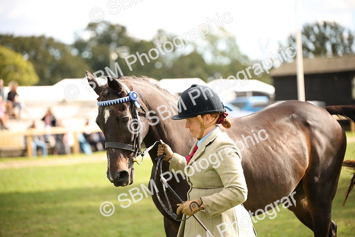 SBM_46395 - S25 - Mature Veteran In Hand