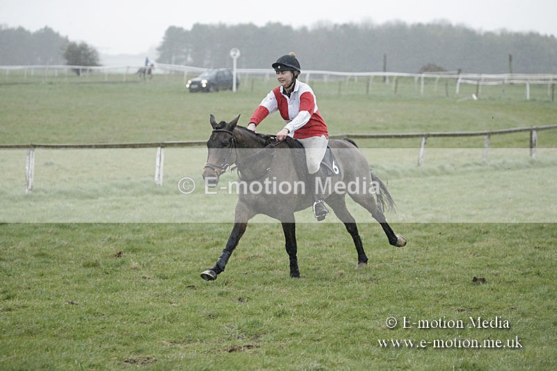 PtP 150320 0046 - New Forest Point-to-Point Larkhill 15/03/20