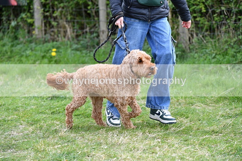 WJ5_0111 - Class 5 Best Veteran / 7 years & over