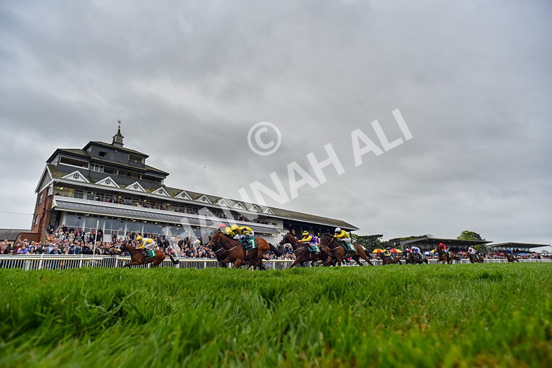 040524-Race 2-Wobwobwob-4330 - Race 2