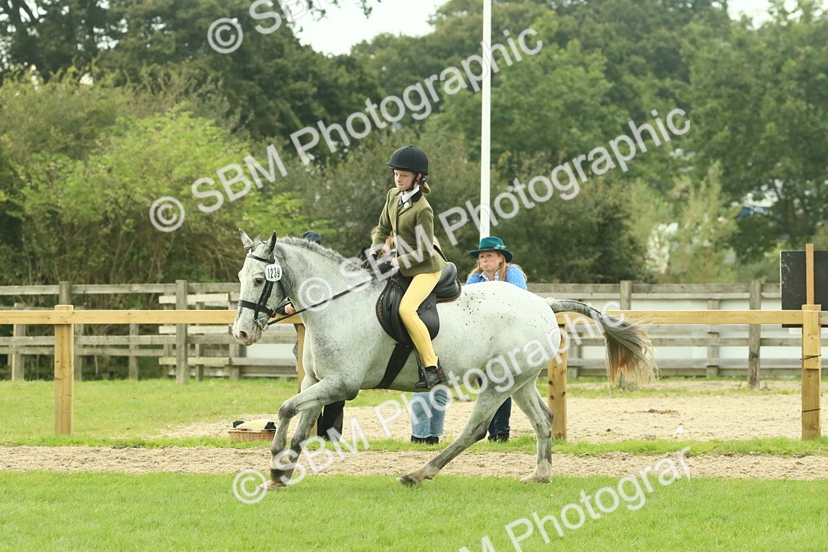 SBM_74057 - S 61 - Show Pony & Show Hunter Pony Ridden