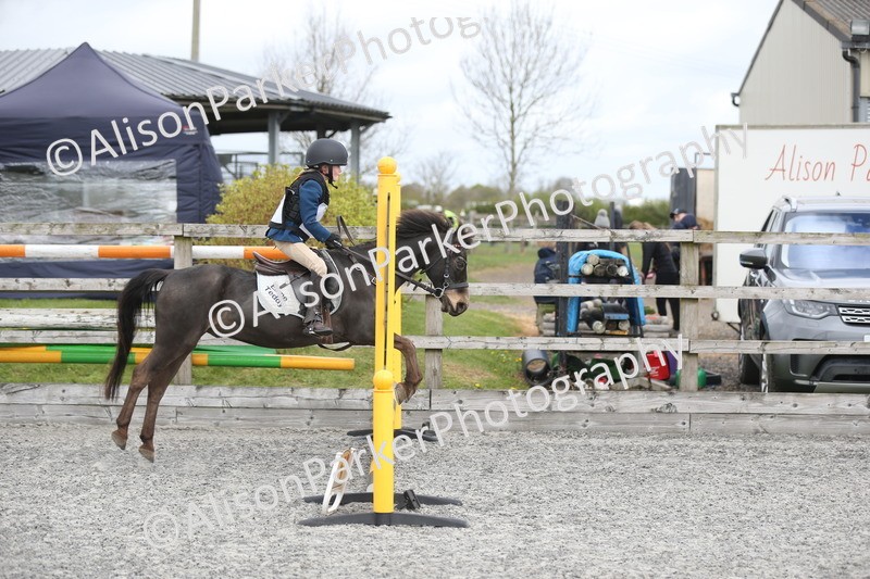 20260412-0574 - Show Jumping