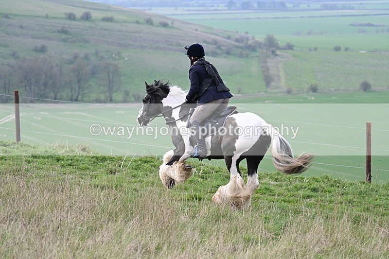 WJ7_8223 - Line 2 A camera