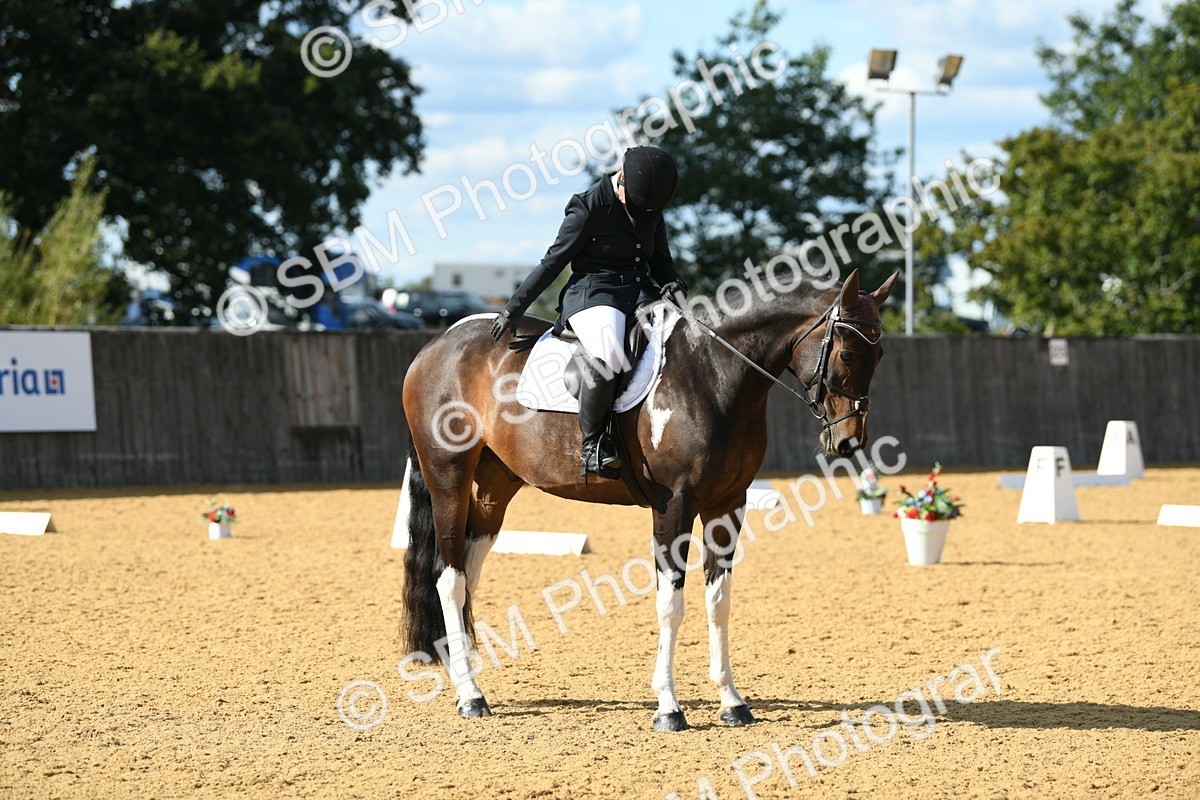 SBM_27034 - D16 - Small Tour Championship - Novice 28