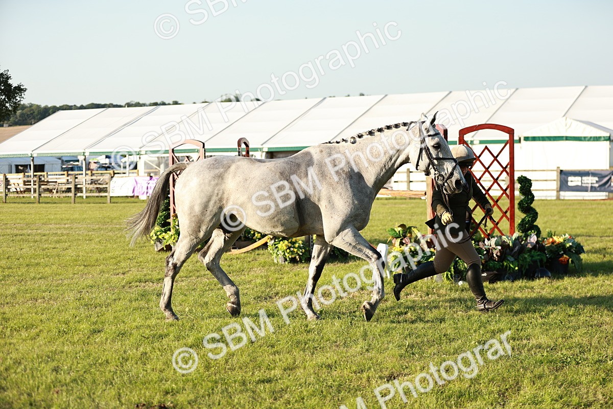 SBM_20559 - Class 117-119 - Sport Horse Working Hunter