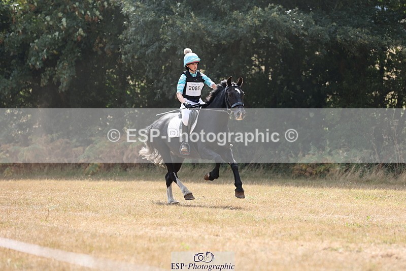 250824A-131121-36934 - 2086-Natalie.Squire-Charcoal