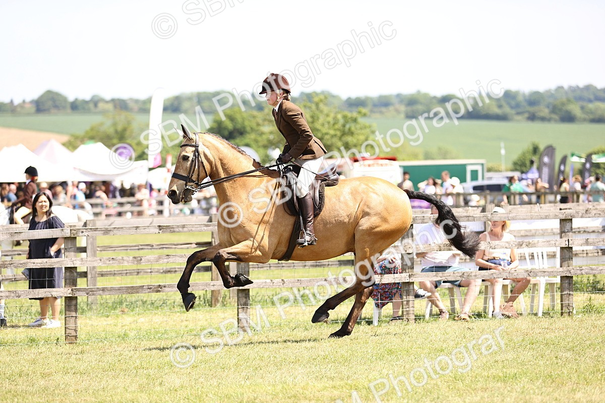 SBM_15133 - Class 79-80 - LIHS BSHA Rising Star Ridden Hunter