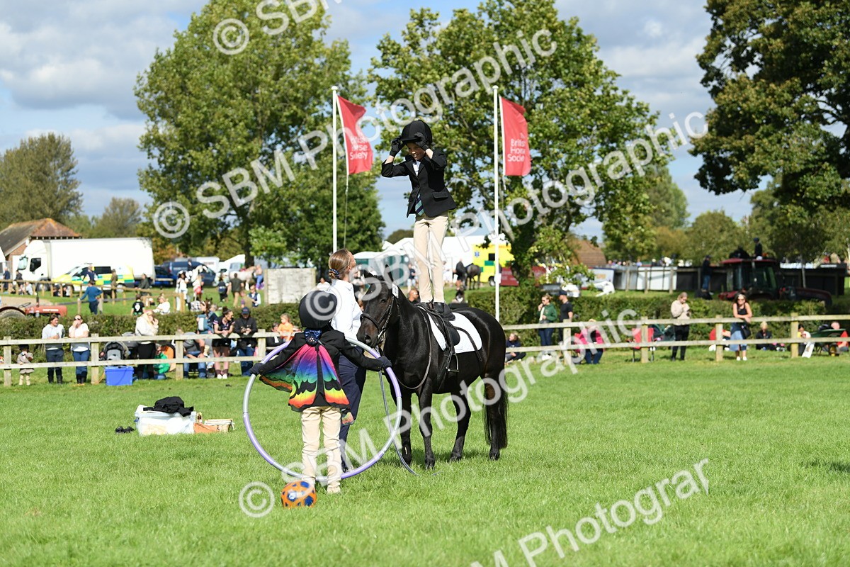 SBM_46962 - S12 - Family Horse & Pony
