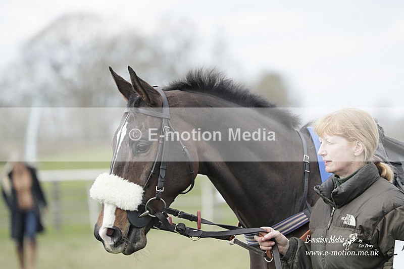 PtP 190323 189 - Oakley Hunt Point-to-Point Brafield-On-The-Green 19/03/23