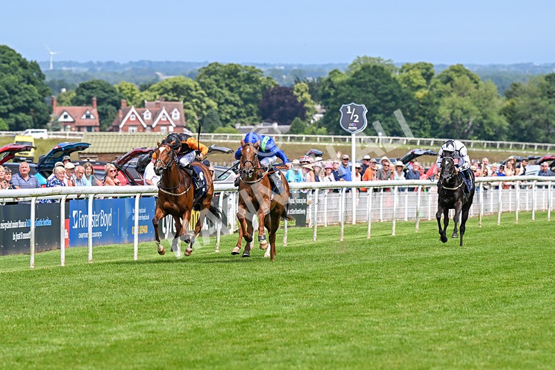 250624-Race 2-Liberty Bird-5118 - Race 2