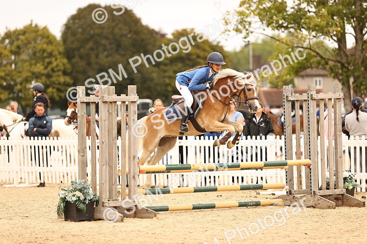 SBM_72612 - J14 - Junior Pony 65cm Championship