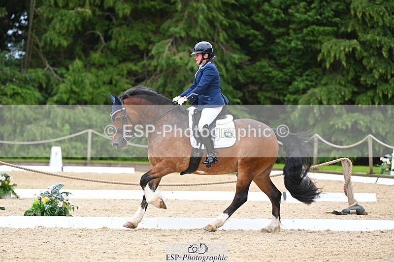 230813-142600-07757 - Cls 13 Medium Bronze 13.15 to End