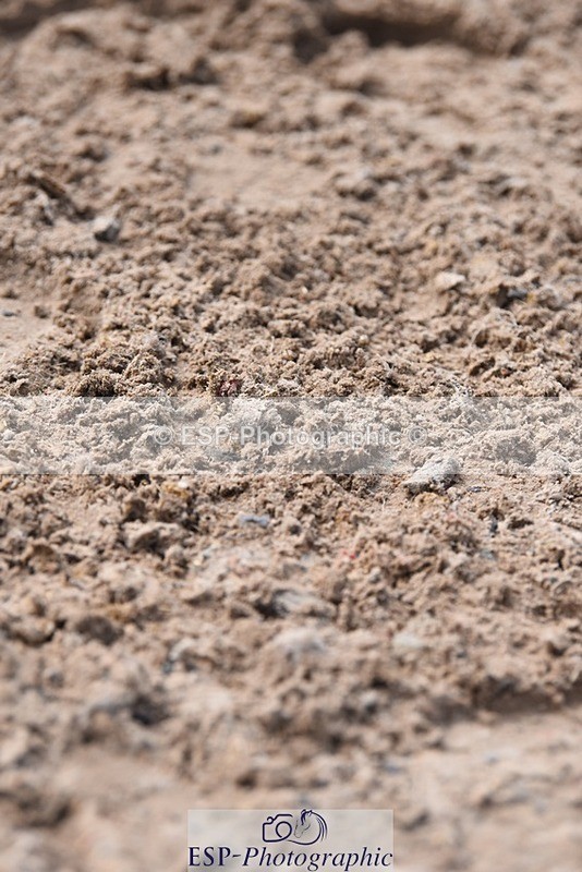 230712-104742-22296 - Cls 59 5 Yr Olds