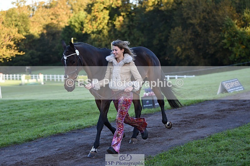 231022-084508-21333 - 670-SEEK.INDI-Maia.Ramasamy-TrotUp+SJ